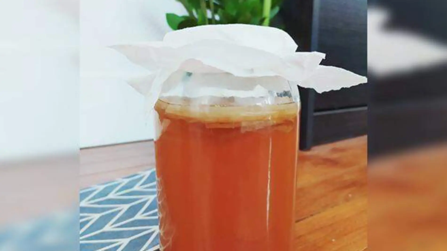 Té de Kombucha 